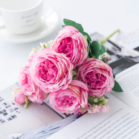 bf23f5e3d39325a3dc17588a995cc09d