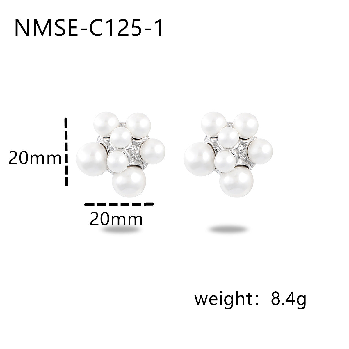 NMSE-C125-1